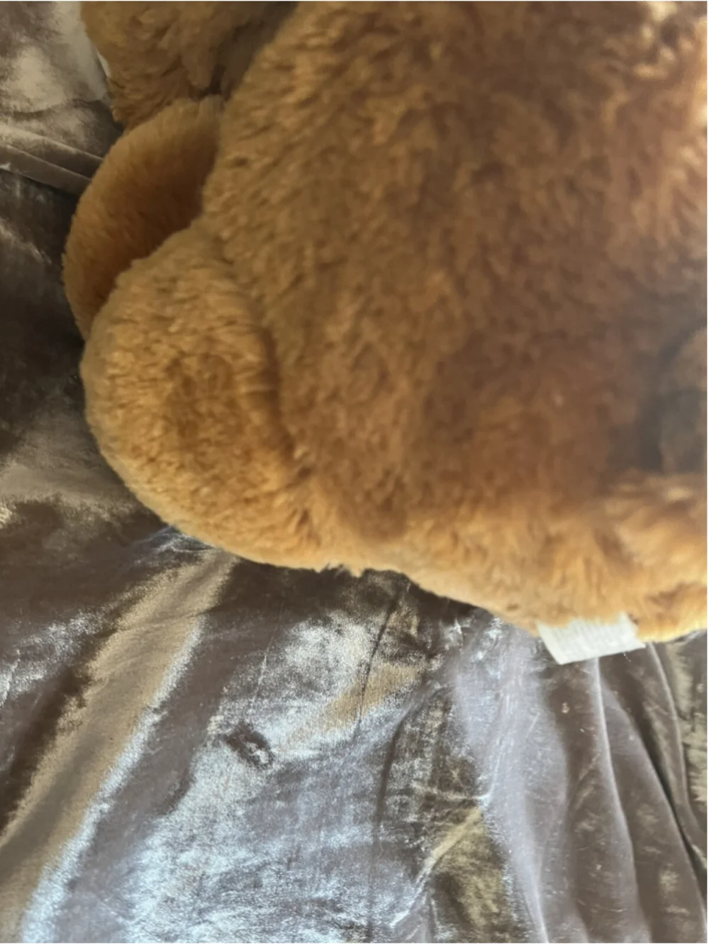 2013 Valentine's Day Plush Bear super cute , OR ANNIVERSARY , ANYTIME REALLY 19'